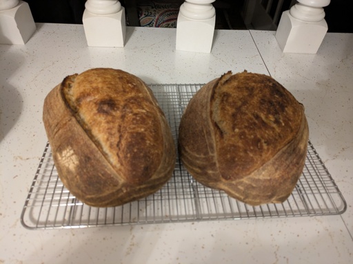 bread 